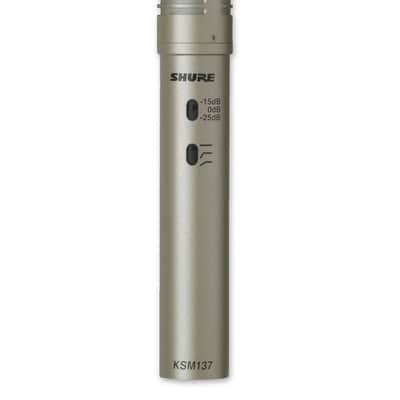 Shure KSM137/SL Cardioid Condenser Studio Mic, Champagne image 1