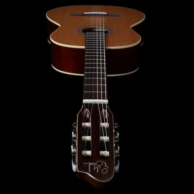 Godin Etude Clasica II Nylon String Electro Guitar image 5