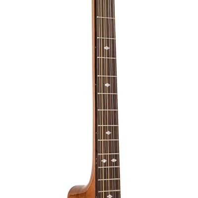 Gold Tone BZ-500 Folkternative Design Solid Spruce Top Irish Bouzouki Mandolin w/Hard Case image 2