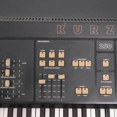 Kurzweil K250 Workstation Sampler/Sequencer Keyboard Owned by Lyle Mays #32749 image 6