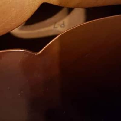 Immagine Silvertone P7 Archtop Jazzbox From The Early 1960s - 6