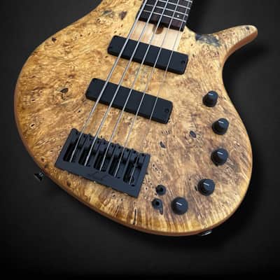 Elrick EVO Gold 5 String Horse Chestnut 2024 - Natural image 3