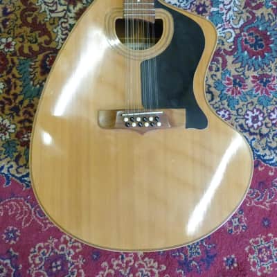 Giannini Craviola 12 String Electro Acoustic Guitar image 2