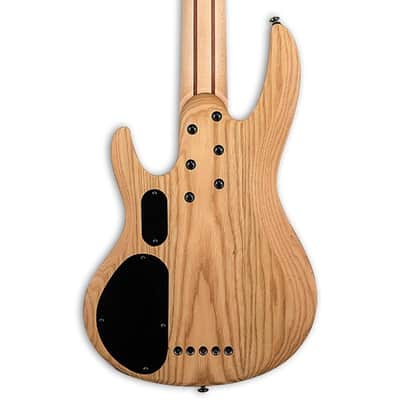 ESP LTD B-205SM Fretless 5-String Bass - Spalted Maple Natural Satin image 6