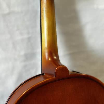 SofiaMari 310E 16 Viola image 15