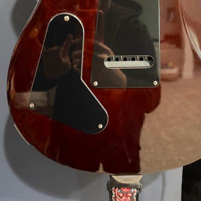 PRS Special Run CE 24 2024 - Tortoise Shell image 10