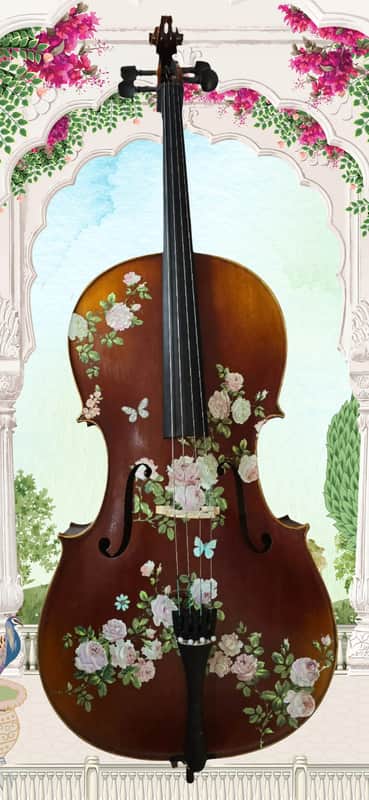 Rozannas Rose 4/4 Cello Outfit 2025 image 1