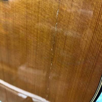 Taylor Custom GA Nylon String, 2012, with Case - Pre Owned image 18