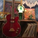 Epiphone  Allen Woody Rumblekat with Epi Hard Case