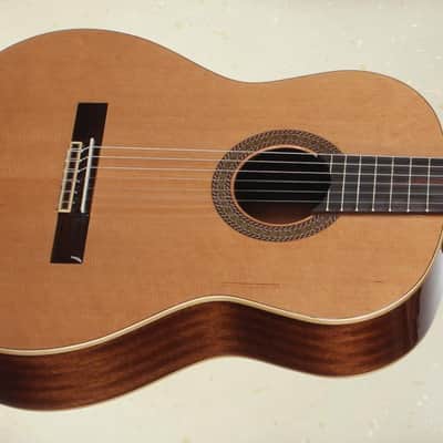 Teton STC105NT Cedar Top Classical, image 4