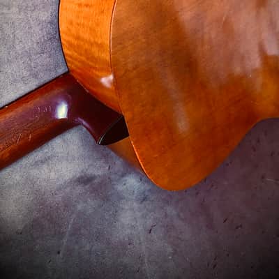vintage classical guitar Hofner, model 514, "Flamenco", 1969 image 19