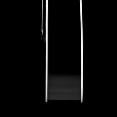 Taylor 250ce-BLK Plus #74423 (NAMM) image 7