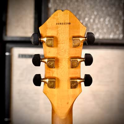 Fender D'Aquisto Elite Natural 1984 image 6