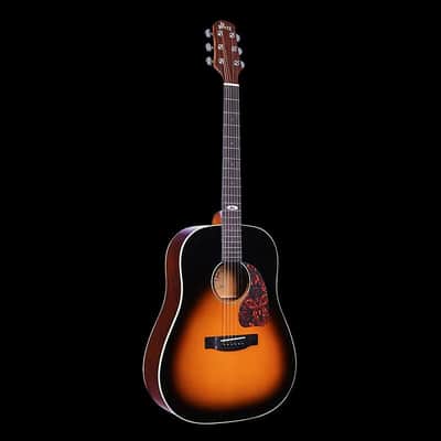 WINZZ AFM16-SD Slope Shoulder Dreadnought Solid Sitka Spruce Acoustic Guitar with Reinforced Carbon Fiber Neck image 17