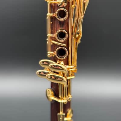 Backun Model F Professional Bb Clarinet Cocobolo with Gold Plated Keys image 8