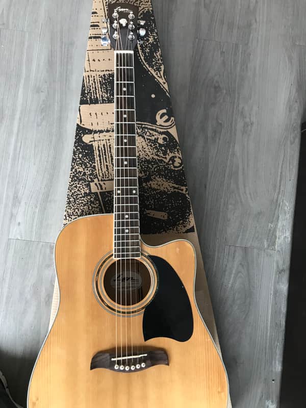 Washburn Lyon Acoustic/Electric Guitar image 1