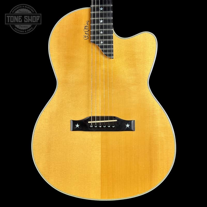 Used 2002 Gibson Chet Atkins SST w/case TSU24947 image 1