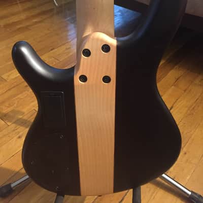 Cort Artisan C5 plus ZBMH 2016 Zebra Wood image 2