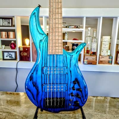 F Bass BN5 - Buckeye Burl | Reverb