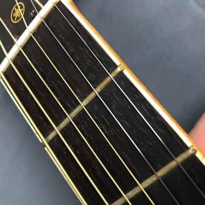Yamaha FG-201 Solid Ezo spruce top! image 10