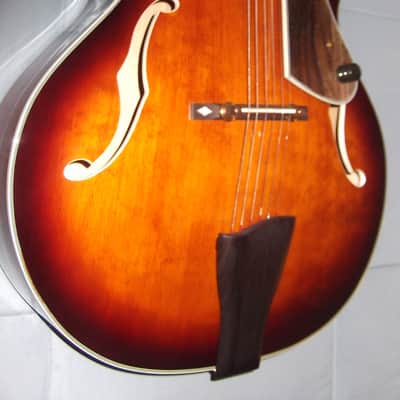 Devlin DV500 Archtop image 3