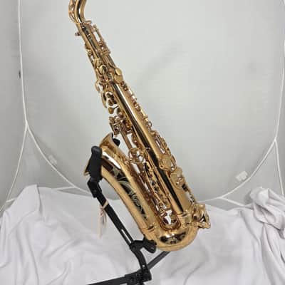 Eastman Alto Sax EAS850 image 4