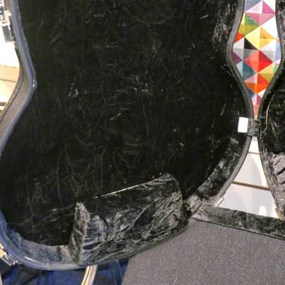 Duesenberg Caribou Left Handed Case image 5