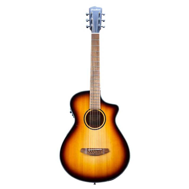 Breedlove Discovery S Concertina CE image 1