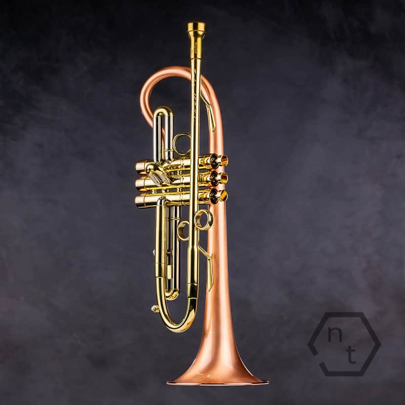 Taylor 46 Balladeer Bb trumpet / flugelhorn hybrid 2020, matte lacquer image 1
