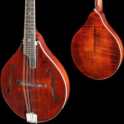 Eastman MD805 Classic image 3