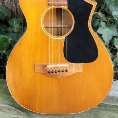 Epiphone Recording Model 'A,' circa 1928 image 1