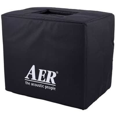 AER Domino 2A | 100W 2x8" +Tweeter Acoustic Combo. New with Full Warranty! image 13