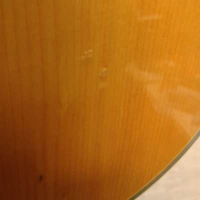 Peavey Indianola acoustic guitar image 7