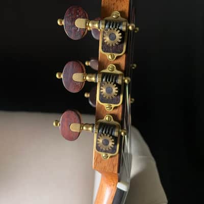 Paul McGill Super Ace Nylon Classical Cutaway Brazilian Rosewood BAM Case image 14