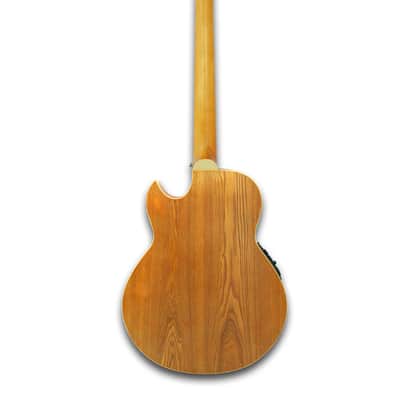 Fretless 5 String Acoustic Electric Bass image 2
