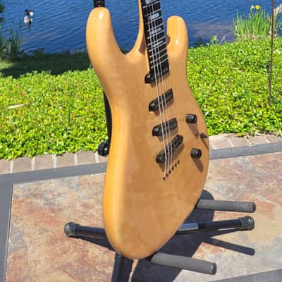 Carvin DC 135 SSS image 2