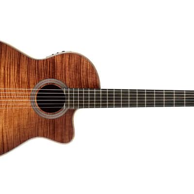 Cordoba Fusion 12 Cinnamon Burst - Acoustic Electric Nylon String Guitar image 1