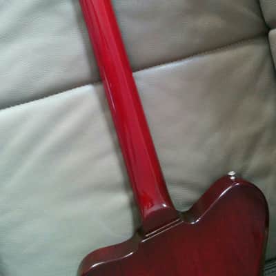 Echopark Ghetto Bird 2016 Case Study 2016 w/OHSC New Condition image 6