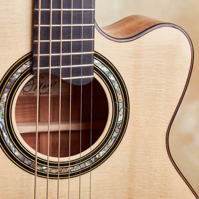 Linda Manzer Fanfret Baritone Acoustic image 7