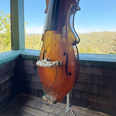 Eminence Removable Neck Bass image 2