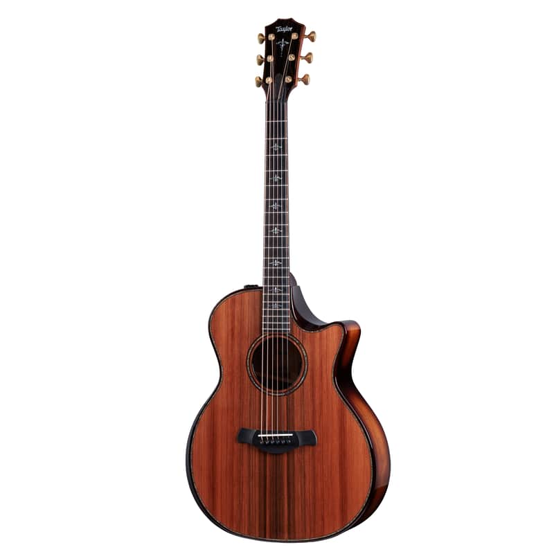 Taylor Builder's Edition 914ce Redwood/Rosewood image 1