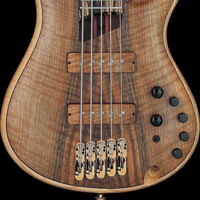 Ibanez IV1SR Visions SR Electric Bass 5-String + Case image 7