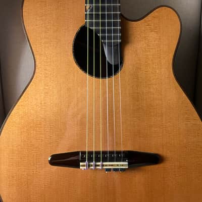Paul McGill Super Ace Nylon Classical Cutaway Brazilian Rosewood BAM Case image 17