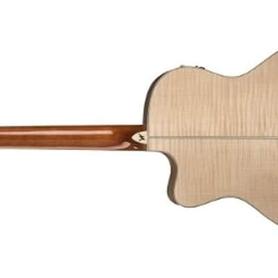 Washburn AG40CEK Flamed Maple Grand Auditorium with Electronics Natural image 2