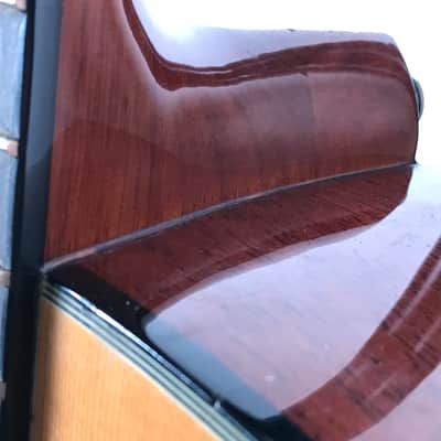 Fender DG-7 Acoustic Guitar image 13