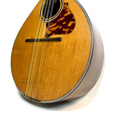 Antoine Di Mauro Flat Back Mandolin 1950's image 3