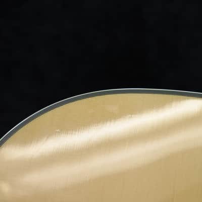 Fender DG41S Solid Spruce Top Dreadnought Six-String Acoustic Guitar #98052230 image 12