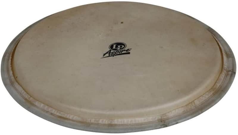 Latin Percussion LPA630A 12-1/2-Inch Aspire Djembe Head image 1