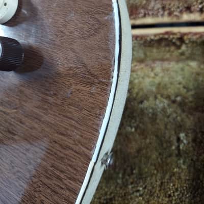1964 Danelectro Deluxe Model 6027 SUPER RARE GUITAR! Fun Player (204) image 7