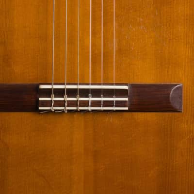 Manuel Velazquez Classical Guitar (1971), Mark Leaf black hard shell case. image 18